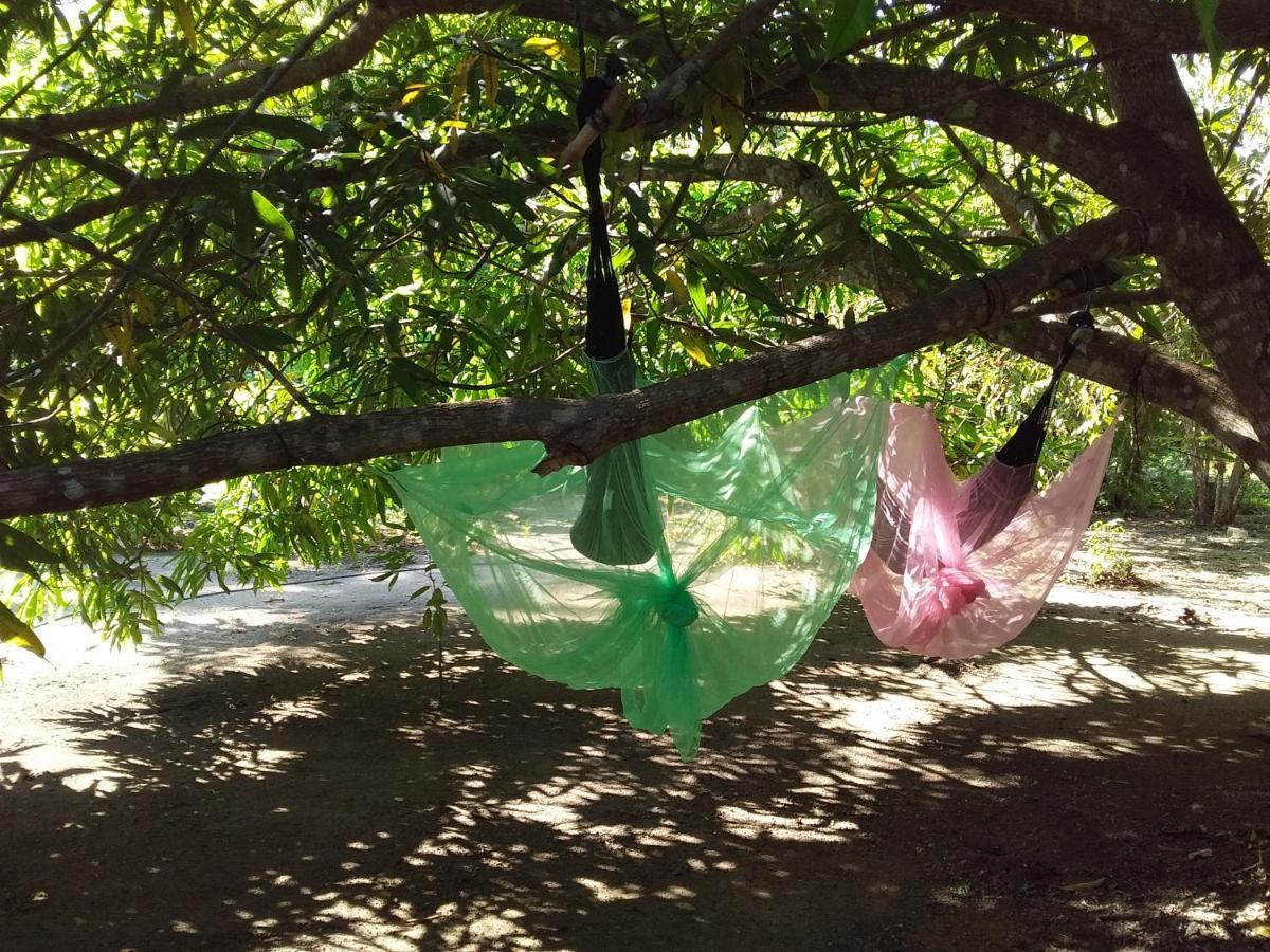Eco-Camping Mango Feliz Rincon Del Mar San Onofre Bagian luar foto
