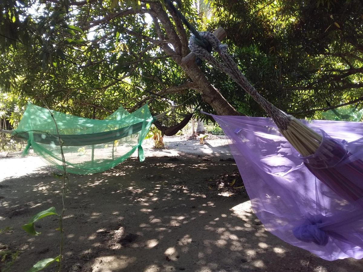 Eco-Camping Mango Feliz Rincon Del Mar San Onofre Bagian luar foto