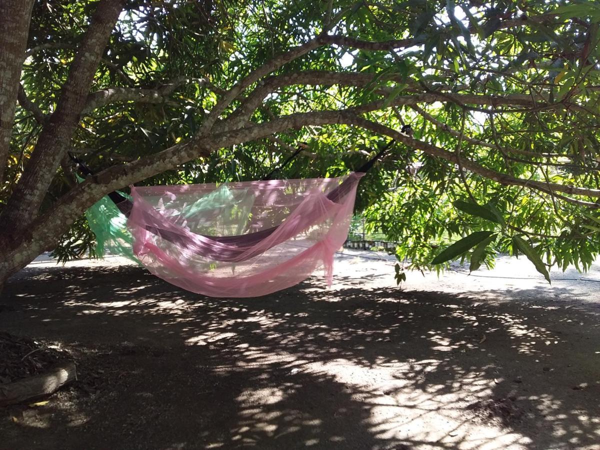 Eco-Camping Mango Feliz Rincon Del Mar San Onofre Bagian luar foto