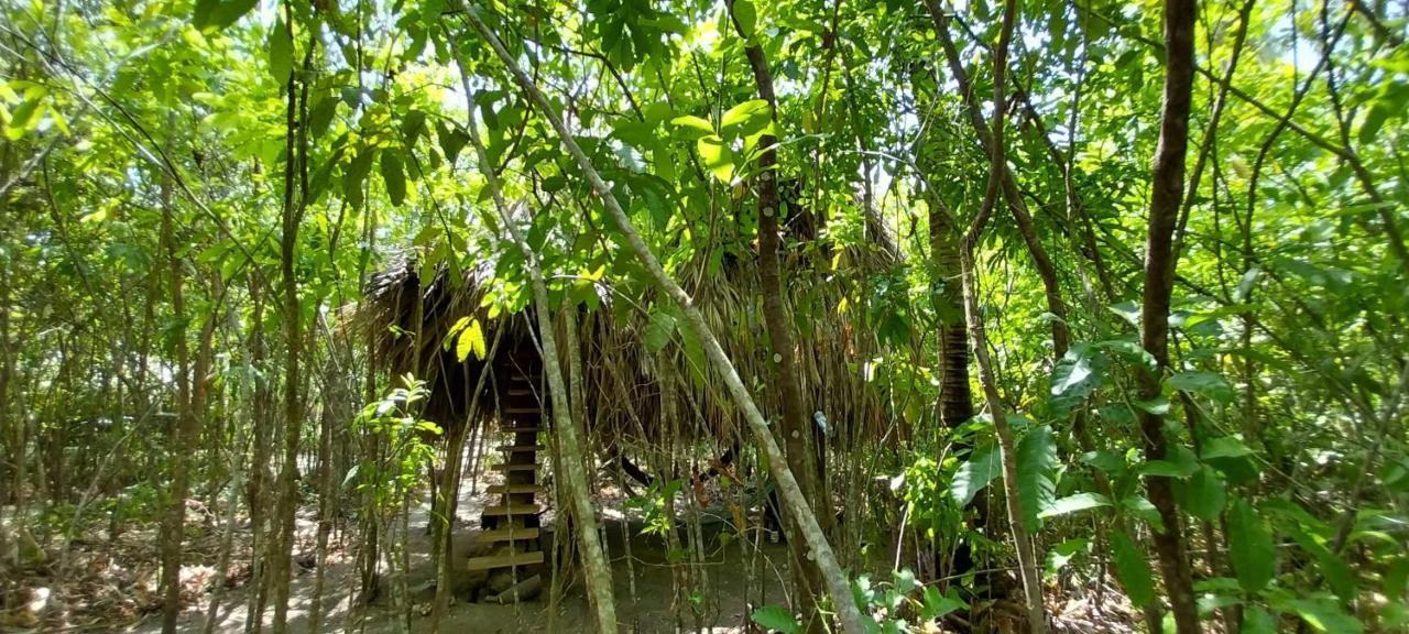 Eco-Camping Mango Feliz Rincon Del Mar San Onofre Bagian luar foto