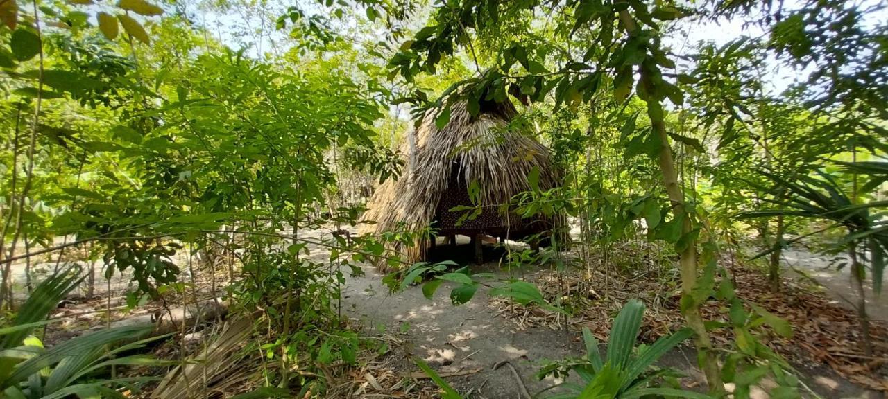 Eco-Camping Mango Feliz Rincon Del Mar San Onofre Bagian luar foto