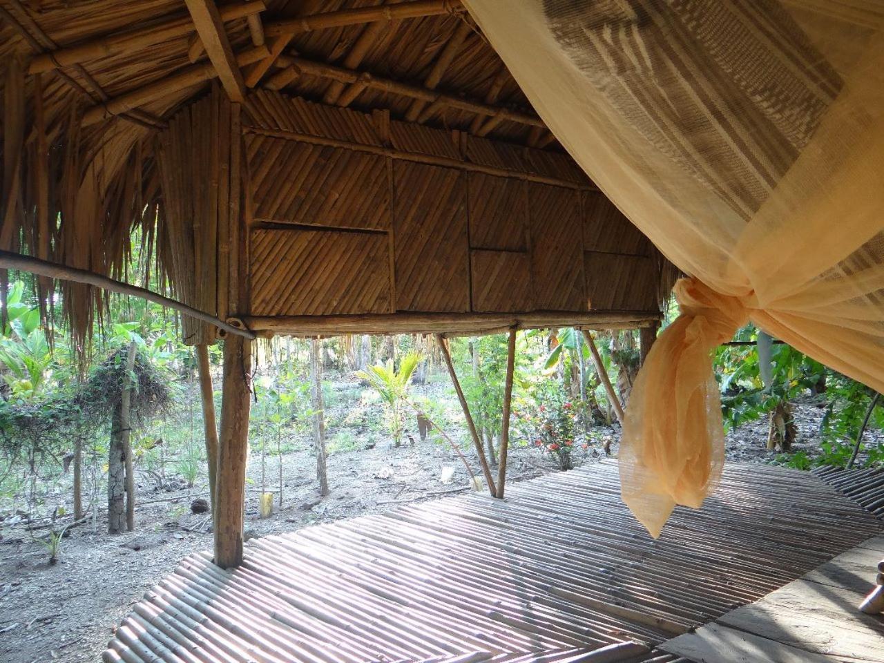 Eco-Camping Mango Feliz Rincon Del Mar San Onofre Bagian luar foto