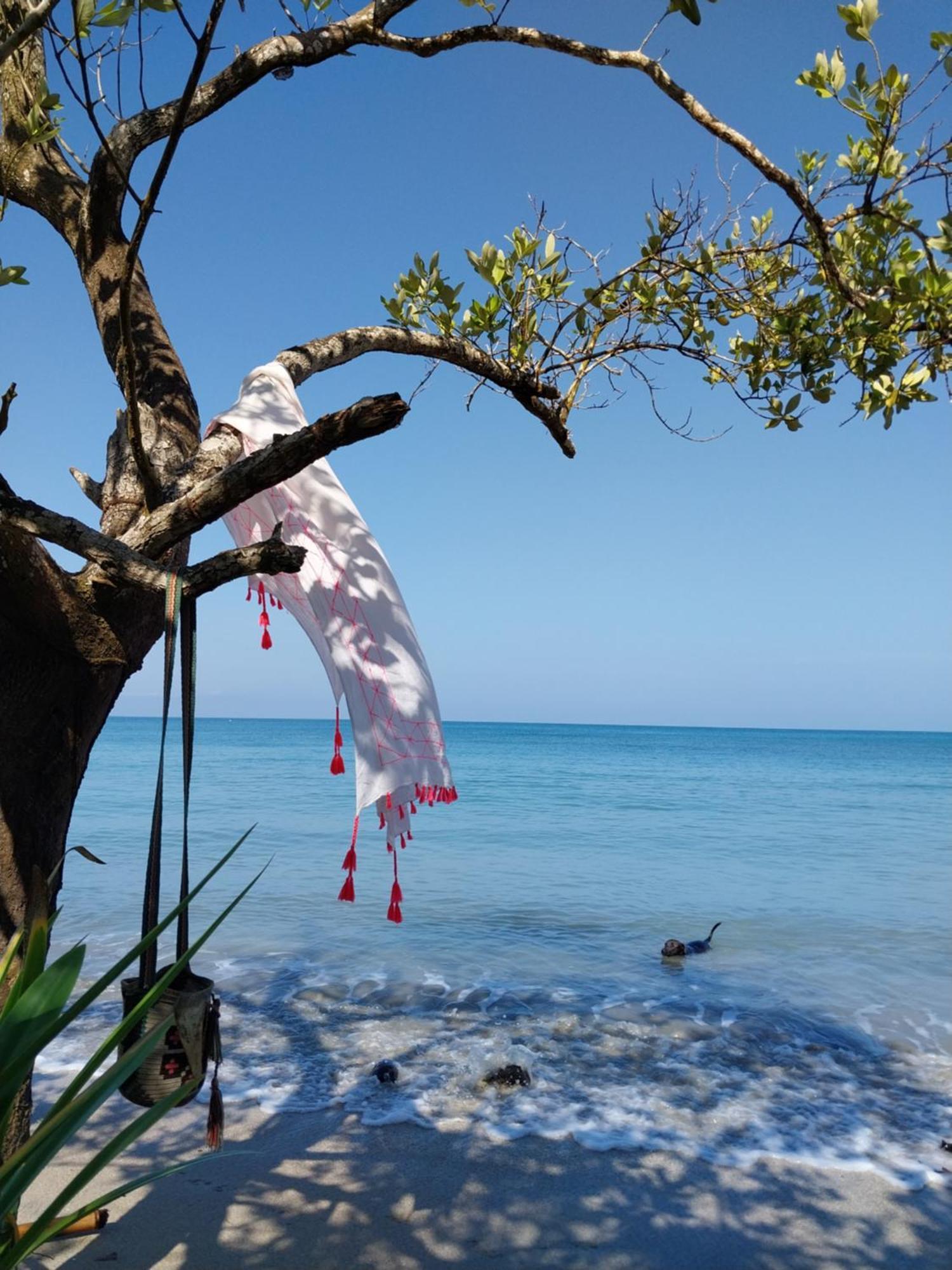 Eco-Camping Mango Feliz Rincon Del Mar San Onofre Bagian luar foto
