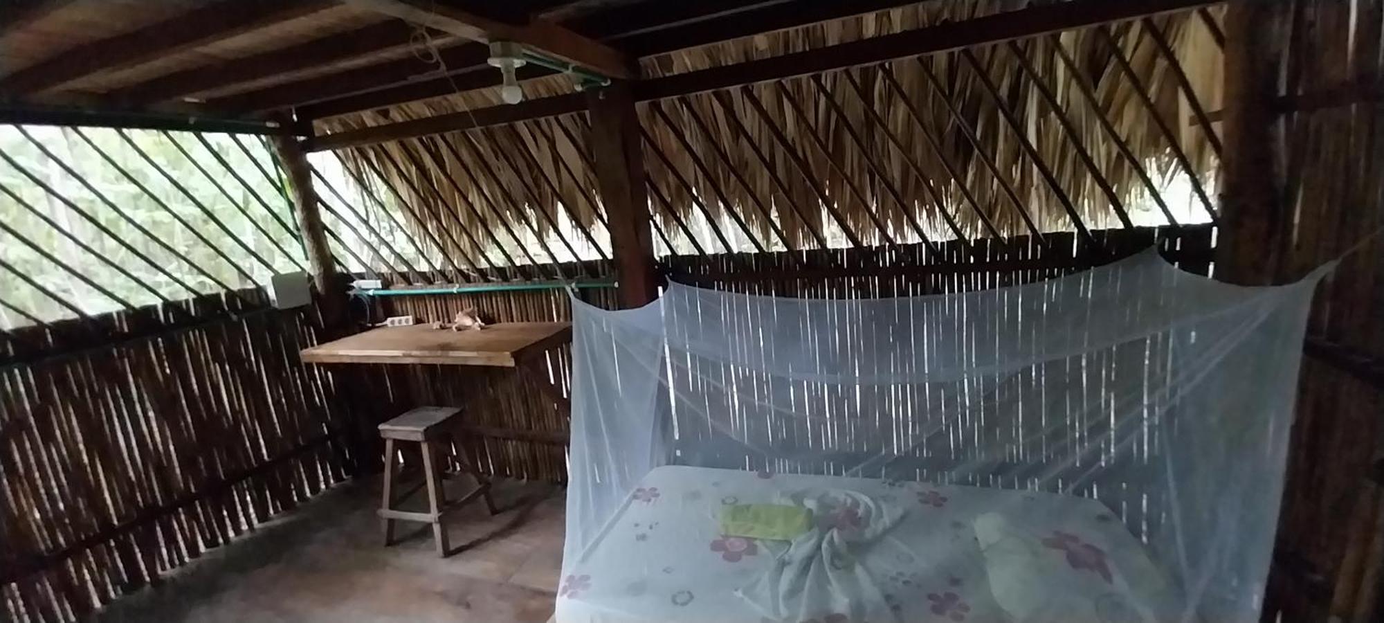 Eco-Camping Mango Feliz Rincon Del Mar San Onofre Bagian luar foto