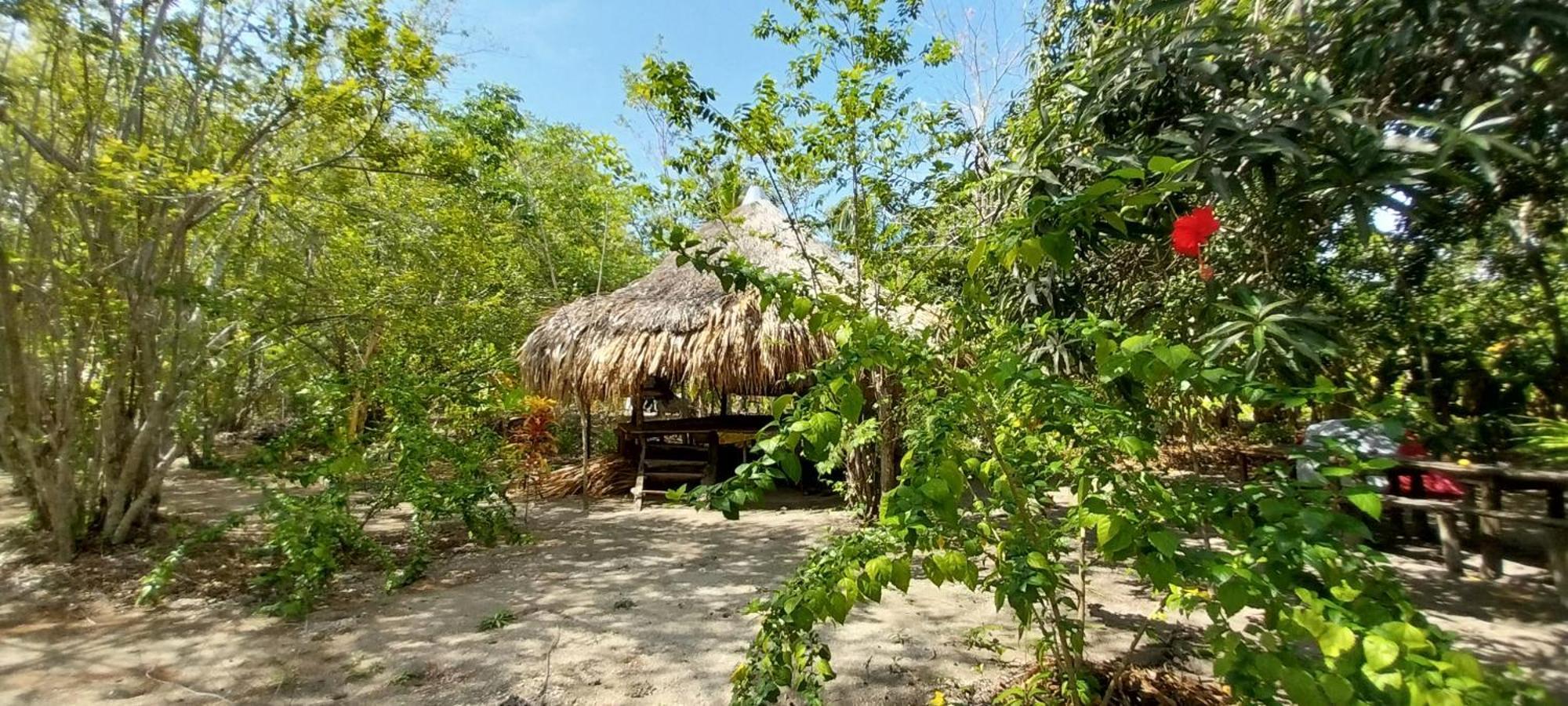 Eco-Camping Mango Feliz Rincon Del Mar San Onofre Bagian luar foto