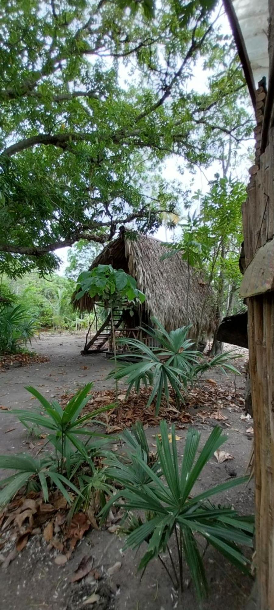 Eco-Camping Mango Feliz Rincon Del Mar San Onofre Bagian luar foto
